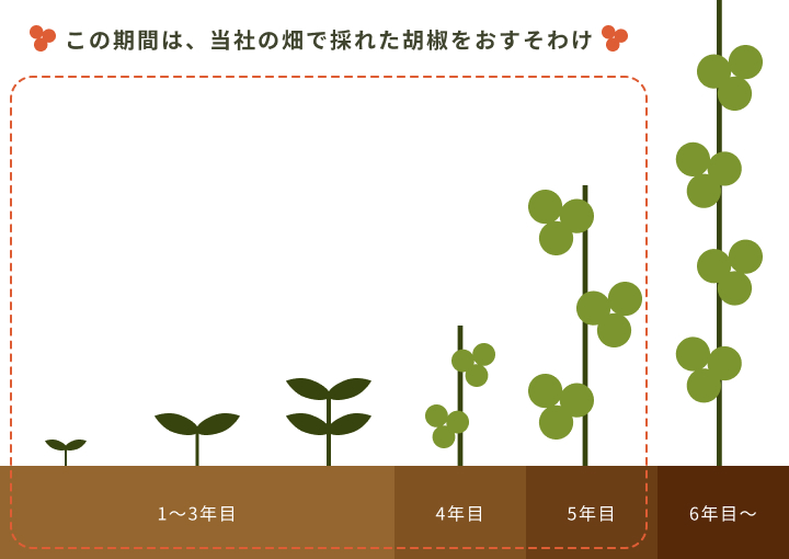 この期間は、当社の畑で採れた胡椒をおすそわけ